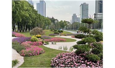 來現(xiàn)場(chǎng)打卡，感受“美麗無錫”的美好